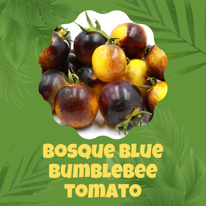 Blue Bumblebee Tomato Seeds