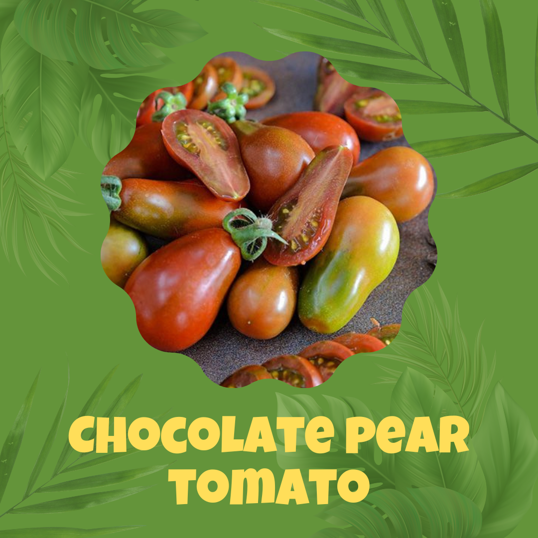 Chocolate Pear Tomato Seeds