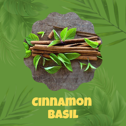Cinnamon Basil Seeds